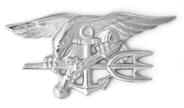 Special Warfare pin
