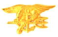 Special Warfare pin